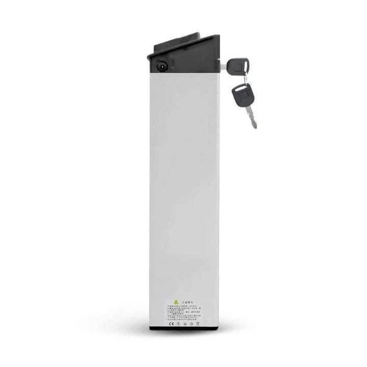 Batterie-LITHIUM-ION-pour-ENGWE-EP-2-PRO-ENGINE-PRO-.jpeg