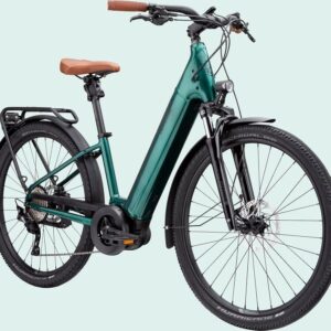 Cannondale Adventure Neo 1 EQ – Image 1