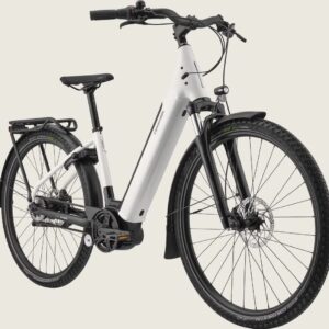 Cannondale Mavaro Neo 4 Shimano Nexus 5V Courroie 500 Wh 29" Gris – Image 3