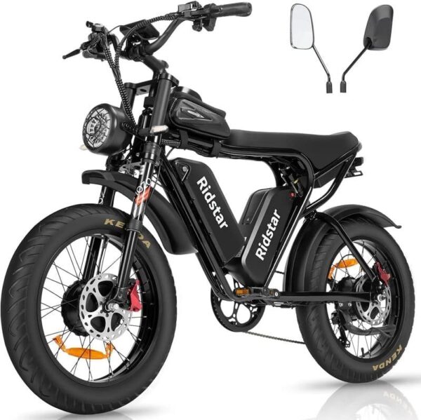 Electric-bike-Ridstar-Q20-PRO-.jpg