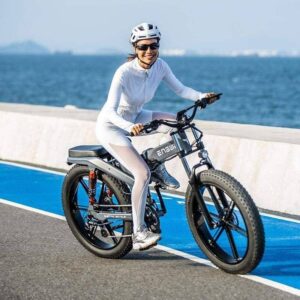 Engwe X26 1000W 26" Fat Bike Pliable E-Mountain Bike Double Batteries EMTB – Image 3