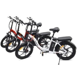 Fafrees F20 250W 20" Vélo électrique Pliant – Image 4