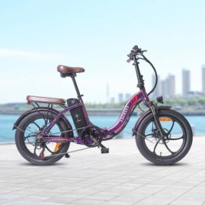 Fafrees F20 Pro 250W 20" Vélo électrique pliant – Image 7