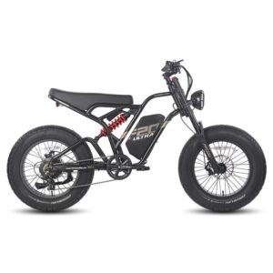 Fafrees F20 ultra 750W 20" Fat Bike – Image 2