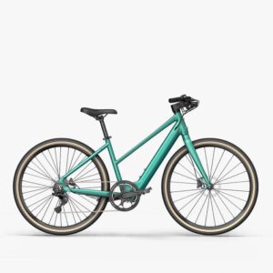 Fiido C22 Gravel Vélo électrique – Image 1