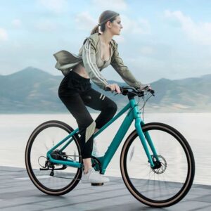 Fiido C22 Gravel Vélo électrique – Image 6