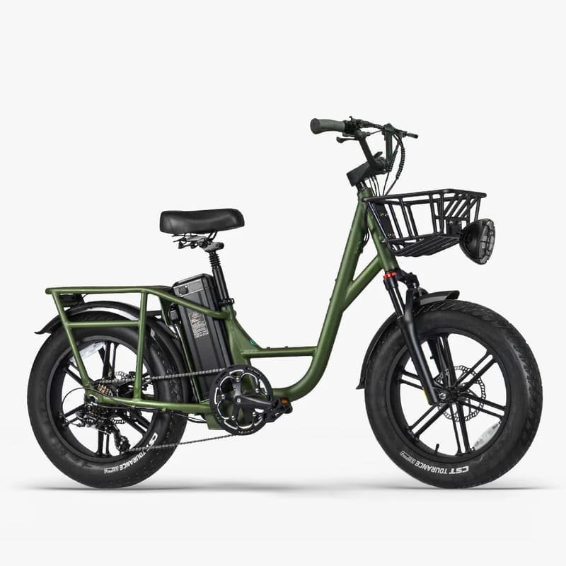 Fiido-T1-Pro-Velo-electrique-Cargo-.jpeg