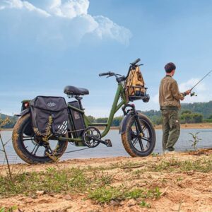 Fiido T1 Pro Vélo électrique Cargo – Image 4