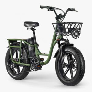 Fiido T1 Pro Vélo électrique Cargo – Image 3