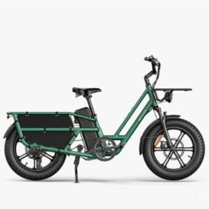Fiido T2 Vélo électrique Longtail Fatbike Cargo – Image 1