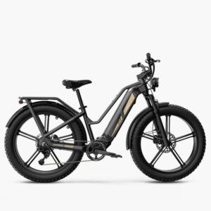 Fiido Titan Vélo électrique Cross & Randonnée – Image 1
