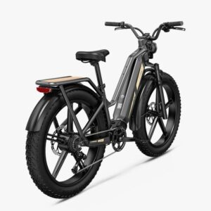 Fiido Titan Vélo électrique Cross & Randonnée – Image 2