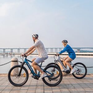 GOGOBEST GM27 Vélo électrique – Image 4