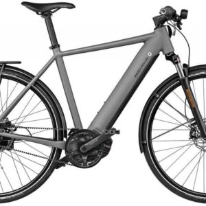 Riese & Müller Roadster vario HS 2023 – Image 2