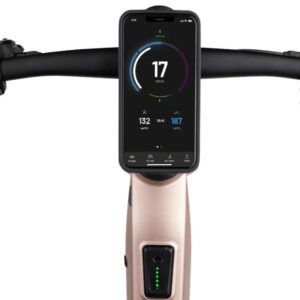 Riese & Müller Ubn Seven Touring 2023 – Image 8