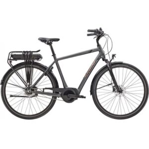 Trek District+ 1 Shimano Nexus 7V Grey 2022 – Image 1