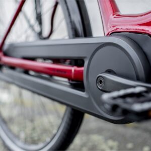 Trek District+ 4 Lowstep 400wh Shimano Nexus 2022 – Image 5