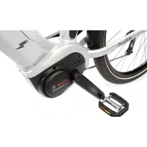 VTC Électrique T-BIRD EVERGLADES 2024 – Image 3