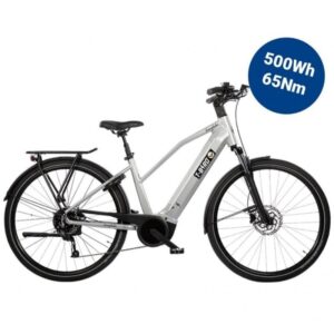 VTC Électrique T-BIRD EVERGLADES 2024 – Image 1