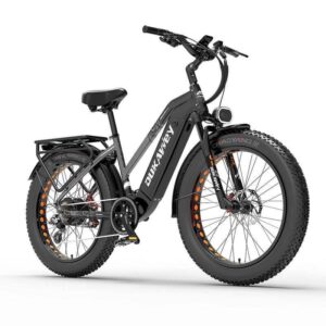 VTC électrique Dukawey DM530 Plus 1000W 26" – Image 2