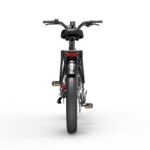 VTC électrique Dukawey DM530 Plus 1000W 26" – Image 8