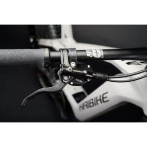VTTAE Haibike ALLMTN CF 9 2022 – Image 5