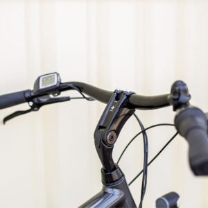 Vélo de Ville Électrique Trek District+ 1 Shimano Nexus 300 Wh Gris 2023 – Image 3
