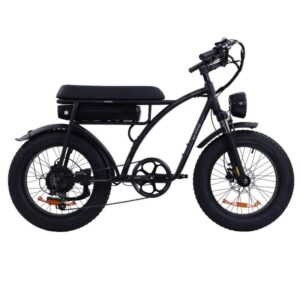 Vélo électrique Bezior XF001 PLUS – Image 1
