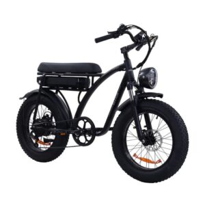 Vélo électrique Bezior XF001 PLUS – Image 3