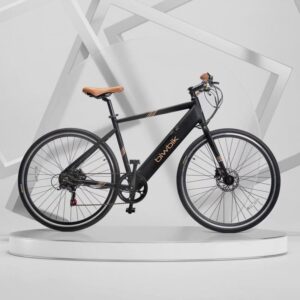 Vélo électrique Biwbik VALONA – Image 1