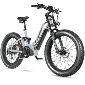 Vélo électrique Cyrusher Trax – Image 4