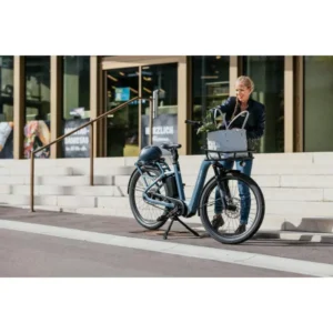 Vélo électrique cargo FLYER Gotour 3 7.43 2022 – Image 3